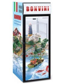 Шкаф холодильный «Bonvini» BGK 500
